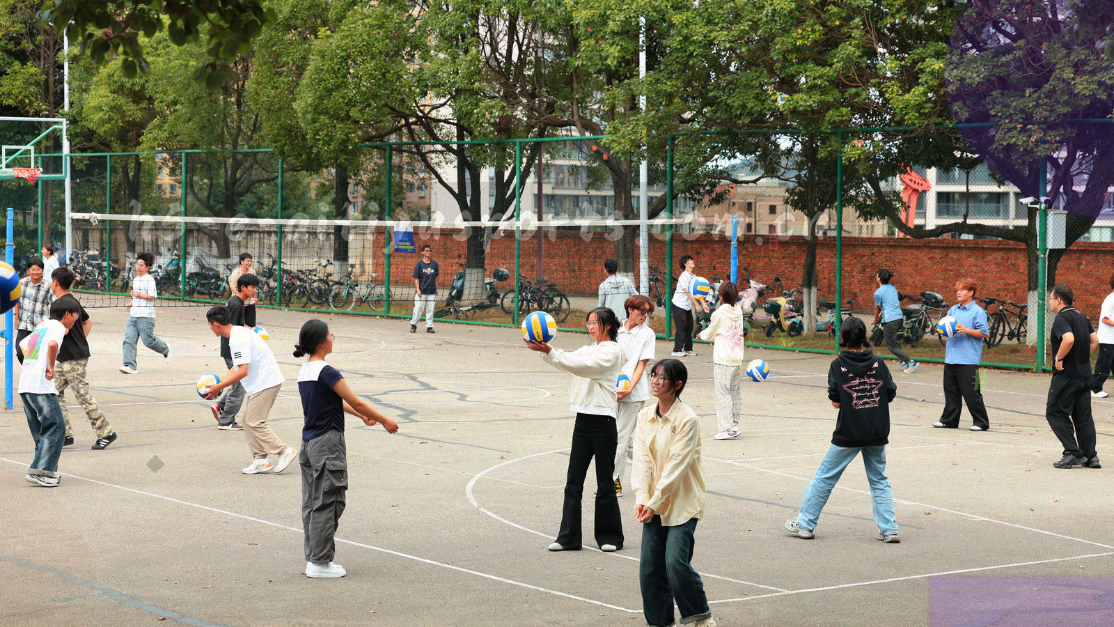 深墨绿底上的抽象场地线条纹理，白色细线斜向交叉，无文字与人物